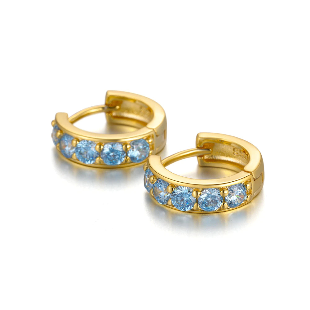925 Sterling Silver Blue True Crystal Earrings - Flowerlovejewelry